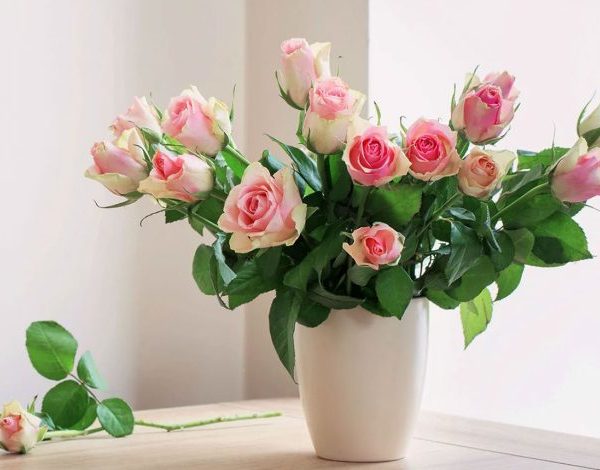 خرید گل آنلاین | سفارش دسته‌گل و باکس گل |