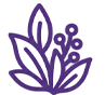 گیاهان تزئینی